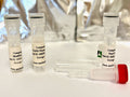 FL650 Antibody Labeling Kit