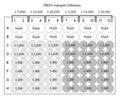 Figure 2. Initial Assay Feasibility Plate Map. Wells are coated with 100 µL per well of either 1 µg/mL (light gray) or 4 µg/mL (dark gray) antigen coating solution, or Antigen Coating Buffer blank well controls (white). A known Positive Control is diluted out via a series of 1:2 dilutions and added to six sections of the plate. After the antibody capture step, plates are incubated with three different dilutions of the HRP-IgG conjugate, washed, and developed with TMB substrate. See protocol.