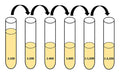 Figure 3. Serial dilution of known positive control. See the protocol for details.