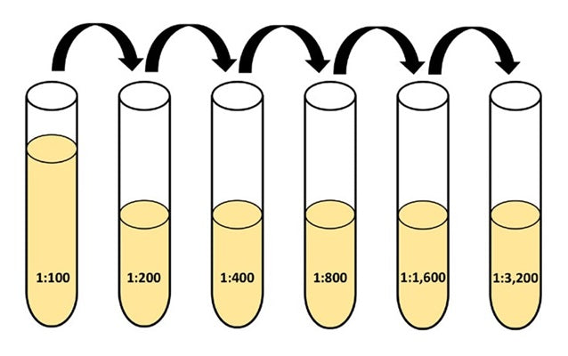 Figure 3. Serial dilution of known positive control. See the protocol for details.