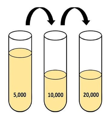 Figure 4. Serial dilution of conjugate. See the protocol for details.