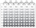 Figure 5. Target Antigen Coating Optimization Plate Map. ELISA plate wells are coated with 0 , 0.25, 0.5, 1 , 2, and 4 µg/mL of the Target Antigen to assess optimal coating concentrations. A known Positive and Negative Control serum or plasma sample is diluted out according to the plate map pictured. Plate duplicates are exposed to a pre-determined dilution of the HRP-IgG conjugate. The plate is read at OD 450 nm. See protocol for details.