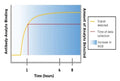 Figure 7. Antibody-Specific versus Non-Specific Signal Over Time. This figure shows the two major signal generating processes: 1.) antibody-driven specific binding, and 2.) hydrophobic interaction-driven nonspecific binding, that occur within all ELISA formats. Specific signal levels off as the antibody-antigen binding process approaches equilibrium, but signal resulting from nonspecific binding of the HRP-conjugate (background signal) continues to accumulate. Signal:noise decreases with time.