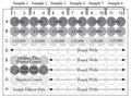Figure 8. Plate Set-up for Normalizing Plate-to-Plate Signal Variations by S/P Ratio. To normalize plate-to-plate variability during routine testing of unknown samples (6 unknown samples are shown in this example), include a Medium Titer and High Titer Positive Control, and a Negative Control on each ELISA plate. Run the controls in quadruplicate, at previously determined dilutions. All unknown samples will be tested (at least in duplicate) at 3 different dilutions. See protocol.