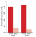 Figure 2. Jurkat cells were exposed to DMSO as the negative control (dark orange bars) or 50 µM CCCP depolarizing agent (light orange bars) and then incubated with TMRE or TMRM. Aliquots (100 µL) were analyzed in triplicate in a black 96-well plate using a fluorescence plate reader (550 nm excitation and 580 nm emission using a 570 nm cut-off filter). Healthy control cells had a high level of orange fluorescence compared to the CCCP-treated cells. (Ms. Tracy Hanson, ICT).