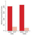 Figure 1. Jurkat cells were exposed to DMSO as the negative control (dark orange bars) or 50 µM CCCP depolarizing agent (light orange bars) and then incubated with TMRE or TMRM. Aliquots (100 µL) were analyzed in triplicate in a black 96-well plate using a fluorescence plate reader (550 nm excitation and 580 nm emission using a 570 nm cut-off filter). Healthy control cells had a high level of orange fluorescence compared to the CCCP-treated cells. (Ms. Tracy Hanson, ICT).