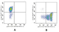 Figure 2. Jurkat cells were treated with DMSO (control) (A) or staurosporine (B), and then dually stained with TMRM and the green FLICA® poly caspase probe FAM-VAD-FMK (Cat. 92) and analyzed by flow cytometer. In the staurosporine-treated cells (B), there is loss of orange fluorescence (FL-2) and a concurrent