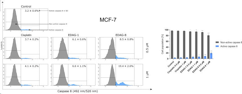 The activity of caspase 8 in breast cancer MCF-7 cells following a 24 h exposure to the tested compounds (EDAG-1 and EDAG-8) and cisplatin (concentrations of 0.5 and 1 μM). The FAM-FLICA® Caspase-8 Assay Kit (Cat no 9120) and a flow cytometer were used in the experiment. Image from publication, CC-BY-4.0, PMID: 39063006.