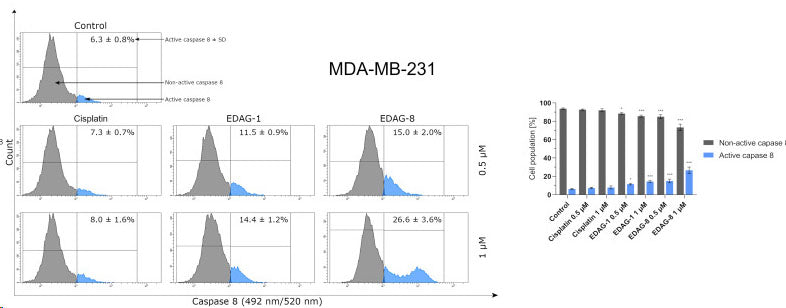 The activity of caspase 8 in breast cancer MDA-MB-231 cells following a 24 h exposure to the tested compounds (EDAG-1 and EDAG-8) and cisplatin (concentrations of 0.5 and 1 μM). The FAM-FLICA® Caspase-8 Assay Kit (Cat no 9120) and a flow cytometer were used in the experiment. Image from publication, CC-BY-4.0, PMID: 39063006.