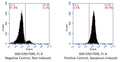 Figure 2. Jurkat cells were treated with a negative control (left) or staurosporine, an apoptosis inducing agent (right), then stained with 660-VAD-FMK (Cat. 9120) for 1 hour. Cells were washed twice and read on an Accuri C6 flow cytometer. Treatment with the negative control