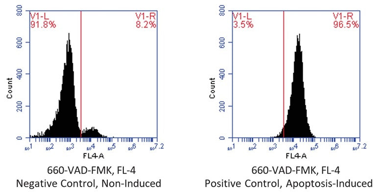 Figure 2. Jurkat cells were treated with a negative control (left) or staurosporine, an apoptosis inducing agent (right), then stained with 660-VAD-FMK (cat. 9120) for 1 hour. Cells were washed twice and read on an Accuri C6 flow cytometer. Treatment with the negative control induced caspase activity in only 8.2% of cells (left), whereas treatment with staurosporine induced caspase activity in 96.5% of cells (right). This is a ratio of 12:1. Data courtesy of Mrs. Tracy Murphy, ICT, 213:48.