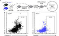 Experimental design of Aim2WT or Aim2−/− bone marrow (BM) transplantation to Ldlr−/−:Mx1cre:c-mybfl/fl mice receiving i.v. DNA (top) and flow cytometry histograms (bottom) of caspase-1 activity(Assay kit,  Cat no. 9122) in bone marrow recipients 24 h after i.v. DNA. Image from publication, CC-BY-4.0, PMID: 39112714.
