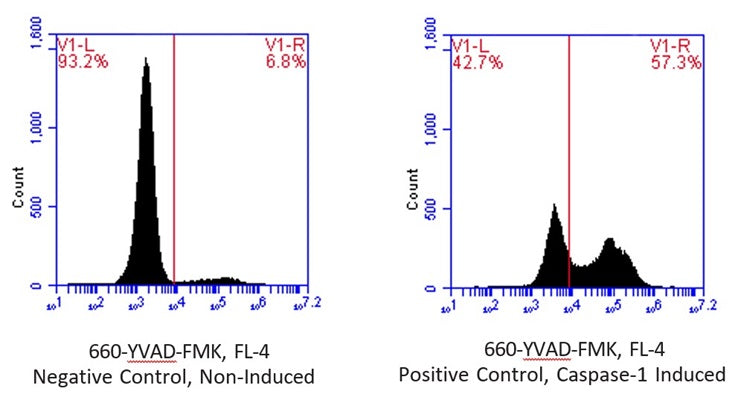 Figure 2. Flow cytometry analysis of Jurkat cells treated with FLICA® 660-YVAD-FMK. After spiking FLICA® into the cell culture media, the cells were treated with either a negative control (left) or nigericin (20 μM, no.6698) to induce caspase-1 activity (right) for 24 hours. The negative control induced caspase-1 activity in 6.8% of cells (left); treatment with nigericin induced caspase-1 activity in 57.3% of cells (right). This is a ratio of 8:1. Data courtesy of Mrs. Tracy Murphy, ICT, 230-01.