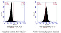 Figure 2. Jurkat cells were treated with a negative control (left) or staurosporine, an apoptosis-inducing agent (right), for 4 hours, then stained with FLICA® 660-DEVD-FMK (Cat. 9125) for 1 hour. Cells were washed and analyzed by flow cytometer. The negative control induced caspase-3/7 activity in 4.4% of