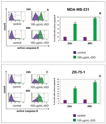 Figure 1. Flow cytometry analysis of active caspase-9 in MDA-MB-231 (A,B) and ZR-75-1 (C,D) cells. Cells were stained with FAM-FLICA® Caspase-9 reagent.  From Figure 5 of R. Krętowski and M. Cechowska-Pasko, The Reduced Graphene Oxide (rGO) Induces Apoptosis, Autophagy and Cell Cycle Arrest in Breast Cancer Cells, Int J Mol Sci (2022) 23, 9285. Used under the Creative Commons Attribution License (https://creativecommons.org/licenses/by/4.0/). Copyright © 2022 by the authors.