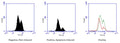 Figure 1. Jurkat cells were treated with a negative control (left) or staurosporine (middle), then stained using Intracellular GSH Assay (Cat. 9137). Cells were read on a flow cytometer using an FL1 99% (2 log) attenuation filter. The median fluorescence intensity of