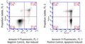 Figure 1. Jurkat cells were treated with a negative control (left) or staurosporine (right), then stained using Swine Annexin V-Fluorescein Assay (Cat. 9142). Annexin V-Fluorescein labeled only 13.1% of control cells (UR + LR = 11.0% + 3.1%, left), whereas staurosporine induced Annexin