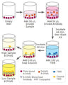 Figure 4. Assay overview