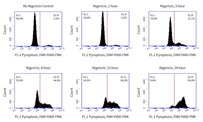 Figure 5. A common pool of Jurkat cells was spiked with FAM-YVAD-FMK and then divided into separate treatment groups. Cells were treated with 10 µM nigericin at 37°C for 1, 3, 6, 12, and 24 hours. Following treatment, the cells were washed and analyzed by flow cytometer. The longer the cells were exposed to nigericin, the greater the proportion of caspase-1 positive cells found in the sample. Data courtesy of Mrs. Tracy Murphy, ICT (220:78).