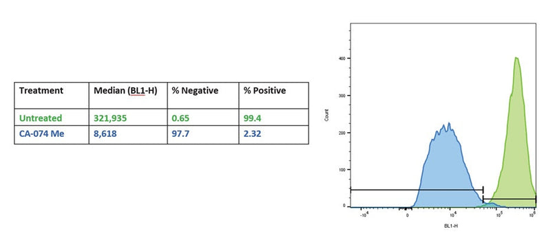 Figure 3. THP-1 monocytes were either untreated to show baseline cathepsin activity (green) or were treated with the cathepsin inhibitor CA-074 Me (blue) to reduce cathepsin activity. Cells were stained with R110-(RR)2 and analyzed by flow cytometry (488 nm excitation and 530/30 emission filter). Treatment with CA-074 Me decreased the fluorescence signal detected compared to the untreated cell population. Data courtesy of Dr. Kristi Strandberg (ICT 231:47-50).