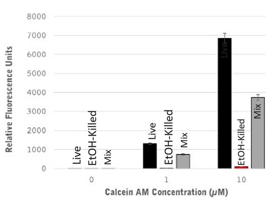 Jurkat suspension cells were mock-treated (black) or killed by exposure to 90% ethanol (red). A mix of the live and dead cells is shown in gray. Cells were stained with 0, 1, and 10 µM Calcein AM to detect live cells and analyzed using a fluorescence plate reader. The fluorescence signal in live cells increased with increasing concentration of Calcein AM. Dead cells had little or no fluorescence. Data courtesy of Dr. Strandberg (ICT 227:1-2).