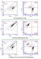 Figure 7. Jurkat suspension cells were stained with Calcein AM, followed by 7-AAD, then analyzed in a flow cytometer with a FL-1 99% attenuation filter. Most live cells stained with Calcein AM (A; LR, lower right, 89.4%). No dead cells stained positive for Calcein (B; LR, lower right). Most dead cells stained positive for 7-AAD (B: UL, upper left, 98.9%). A mixture of live and ethanol-killed cells (C) shows both live (LR, 73.1%) and killed (UL, 23.0%) cells. Data of Dr. K. Strandberg.