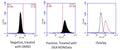 Figure 1. Jurkat cells were stained with DAF-2DA dye (Kit 9155), washed, and then treated with DMSO control (left histogram) or 1 mM DEA NONOate, a nitric oxide donor (middle histogram). Cells were read on the FL1 channel of a flow cytometer. The median fluorescence intensity (MFI) of DEA NONOate treated cells was 3.5-fold higher than for the control cells. Data also overlaid in a single plot (right, black: Negative; right, red: Positive). Data courtesy of Dr. Kristi Strandberg, ICT, 227:76.