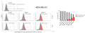 Autophagy induction in normal MCF-10A breast epithelial cells following a 24 h exposure to the tested compounds (EDAG-1 and EDAG-8) and cisplatin (concentrations of 0.5 and 1 μM). An Autophagy Assay Kit (Cat. 9156) and a flow cytometer were used in the experiment. Image from publication, CC-BY-4.0, PMID: 39063006.