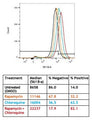 Figure 2. Cells were either untreated (Black) or treated with 0.5 µM Rapamycin (Orange), 10 µM Chloroquine (Blue), or both 0.5 µM Rapamycin and 10 µM Chloroquine (Red) for 18 hours. After staining with Autophagy Probe - Red Fluorescent, cells were washed and analyzed by flow cytometry (561 nm excitation and a 610/20 emission filter). Treatment with rapamycin or chloroquine increased the fluorescence signal compared to the control. Data courtesy of Dr. Kristi Strandberg (ICT 228:37-40).