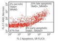 Figure 4. K562 cells were stained with SR-VAD-FMK, followed by 7-AAD red live/dead stain (Cat. 6163), and analyzed using bi-color flow cytometry. Unstained live cells have minimal fluorescence (67%, lower left); early apoptotic cells fluoresce orangy-red