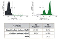 Figure 3. Single Color Analysis via Flow Cytometry Jurkat cells were treated with DMSO, a negative control (left), or staurosporine (right), then stained with our Green Fluorescent Poly (active) Caspase FAM FLICA® Inhibitor Reagent (Cat. 92). The negative control exhibited caspase activity in only 3.3% of the cell population (P3, left histogram), whereas treatment with staurosporine