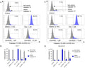 Flow cytometry analysis of the caspase 3/7 activity in the MCF-7 (A,B) and MDA-MB-231 (C,D) breast cancer cells after 24 h of incubation with Les-6287 (1.0 μM and 1.5 μM) and DMSO. Image from publication, CC-BY-4.0, PMID: 39199694.