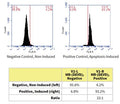 Figure 11. Jurkat cells were treated with a negative control (left) or staurosporine (right), for 4 hours, then labeled with MR-(DEVD)2 (Cat. 935/936) for 1 hour. Cells were analyzed in a flow cytometer using excitation at 640 nm and a 675/25 emission filter
