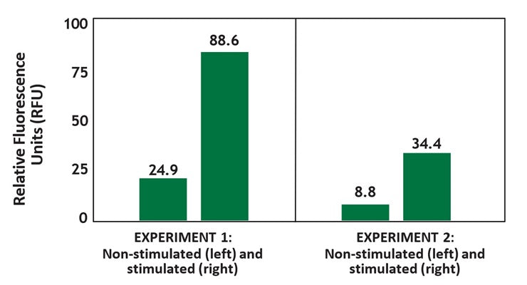 Figure 3. Jurkat cells were treated with a non-stimulating control or with an agent to stimulate serine protease activity. Cells were then labeled with FAM-Phe-CMK (Kit 945/946). There is a significant difference in relative fluorescence units (RFU) between the 2 experiments, but the ratio of non-stimulated:stimulated RFU was almost the same in each case (1:3.6 in experiment 1, and 1:3.9 in experiment 2). Data courtesy of Ms. Tracy Hanson (ICT 200:73).