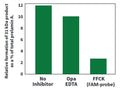 Figure 4. FAM-Phe-CMK (Kit 945/946) was used to inhibit the enzyme Zmpste24, which cleaves prelamin A to generates a 31 kDa product. When Zmpste24 was inhibited by FAM-Phe-CMK (FFCK) much less 31 kDa product was detected. The zinc metalloprotease inhibitor 1,10-orthophenanthroline (Opa EDTA) has little effect on the cleavage of prelamin. Data courtesy of D. P. Corrigan, East Tennessee State University, Johnson City, TN.
