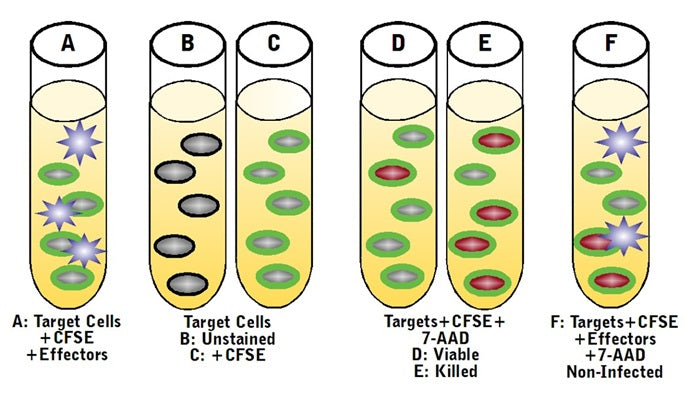 Figure 3. Instrument controls