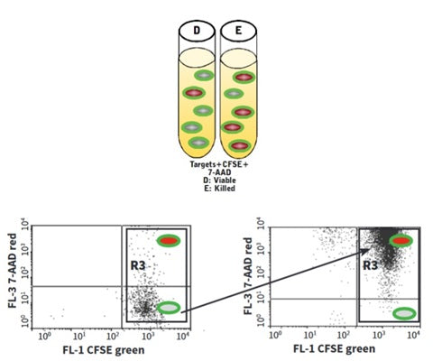Figure 9. Controls D & E distinguish living from dead target cells and determine a base level of spontaneous cell death: CFSE (FL-1) vs. 7-AAD (FL-3). See protocol for details.