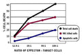 Figure 17. K562 target cells were stained with CFSE. Effector cells were added at a ratio of 12.5:1, 25:1, 50:1, or 100:1. Cells were incubated 4 hours to allow the cytolytic activity to progress. Cells were labeled with SR-FLICA® and 7-AAD and analyzed via flow cytometry. Total cytotoxicity increased when more effector cells were used, reaching 60% at an E:T ratio of 100:1 .