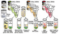 Figure 2. Assay procedure