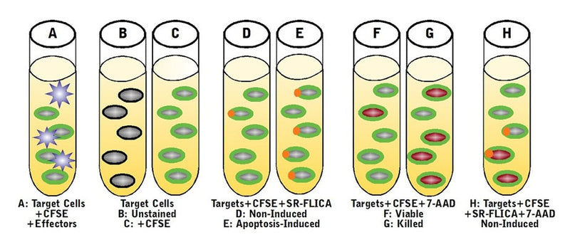 Figure 3. Instrument controls