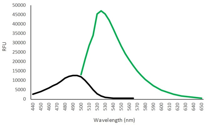 Figure 1. Green Fluorescent FAM In vivo Poly (active) Caspase (VAD) Assay inhibitor probe was reconstituted in DMSO, diluted in an aqueous buffer, and then analyzed on a Molecular Devices M5e plate reader. The excitation spectrum (black) was generated using an emission of 590 nm. The emission spectrum (green) was generated using an excitation of 460 nm.