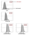 Figure 1. Activity of caspase-8 (using FAM-LETD-FMK) in AGS cells after 24 h incubation with Les-4367 (1 μM) and combined with anti-HER2 antibodies. From Figure 4 of A. Gornowicz et al Multi-Targeting Anticancer Activity of a New 4-Thiazolidinone Derivative with Anti-HER2 Antibodies in Human AGS Gastric Cancer Cells, Int J Mol Sci (2023) 24, 6791. Used under the Creative Commons Attribution License (https://creativecommons.org/licenses/by/4.0/). Copyright © 2023 by the authors.