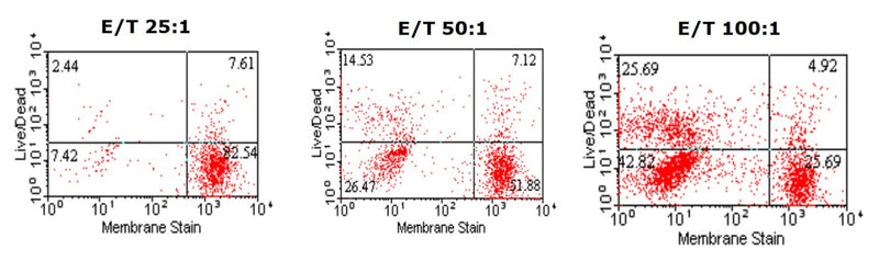 Figure 1. K562 cells were stained with CFSE analog. Lymphocytes were added at: effector (E)/ target (T) ratios of 25:1, 50:1, and 100:1. Following incubation, 7AAD (live/dead) stain was added and cells analyzed via flow cytometry. % Cytotoxicity can be determined by an increase of target cells (lower right quadrant) moving into upper right quadrant and calculated by (R1/(R1+R2))*100.