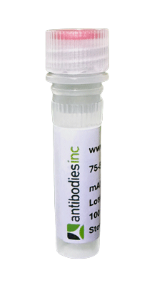 Goat Anti-Mouse IgG (H&L) Secondary Antibody, CF®594