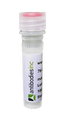 Anti-GLP-1 (central) Antibody
