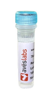 Anti-CSPG4/NG2 Recombinant Chicken Chimeric mAb FL650 Conjugate