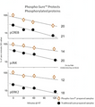 Figure shows the decrease in the decay rate in phosphorylated signals from Western Blots performed on samples held at RT for varying times in Phospho-Sure and traditional lysis buffer preparations.