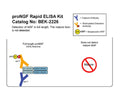 The BEK-2226 detects only proNGF because its capture antibody epitope is contained entirely within the prodomain of proNGF as illustrated in the diagram above