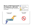 Mouse proNGF Rapid ELISA Assay