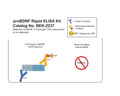 Specific quantification of full-length proBDNF in the proBDNF ELISA kit (BEK-2237).